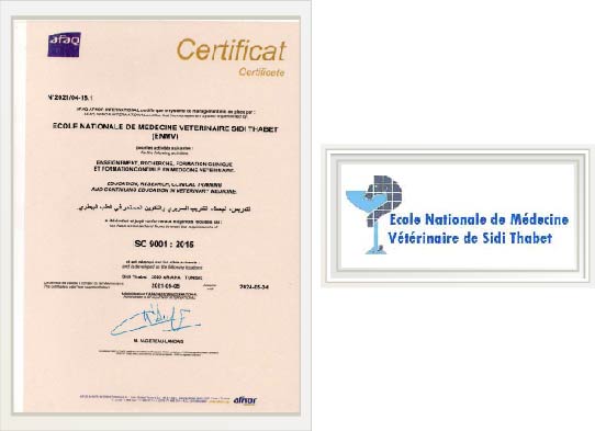 CERTIFICATION (ISO 9001 : 2015)